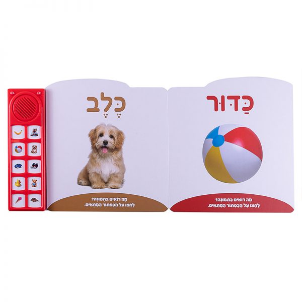 המילים הראשונות שלי – ספר אינטראקטיבי 3