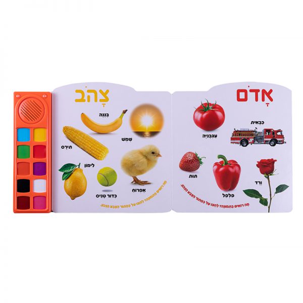 הצבעים הראשונים שלי – ספר אינטראקטיבי 2