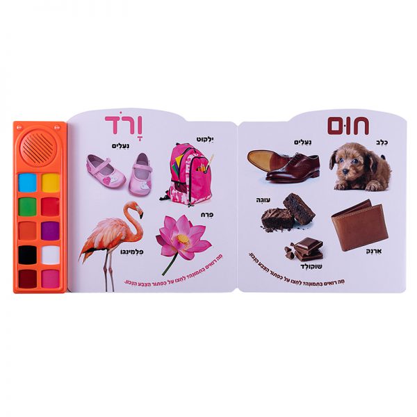 הצבעים הראשונים שלי – ספר אינטראקטיבי 5
